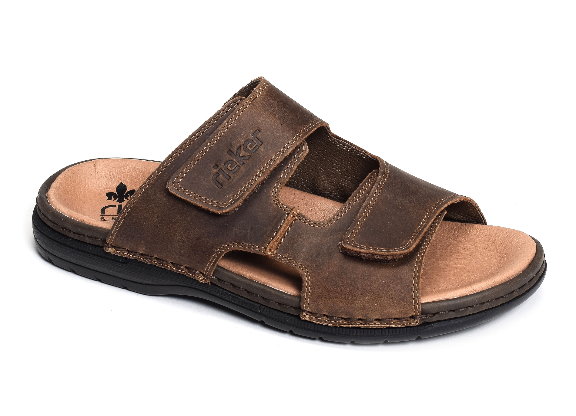 25592 marron