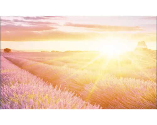 Keukenachterwand mySpotti Profix Provence lavendelveld 100 x 60 cm PX-10060-1889-HB