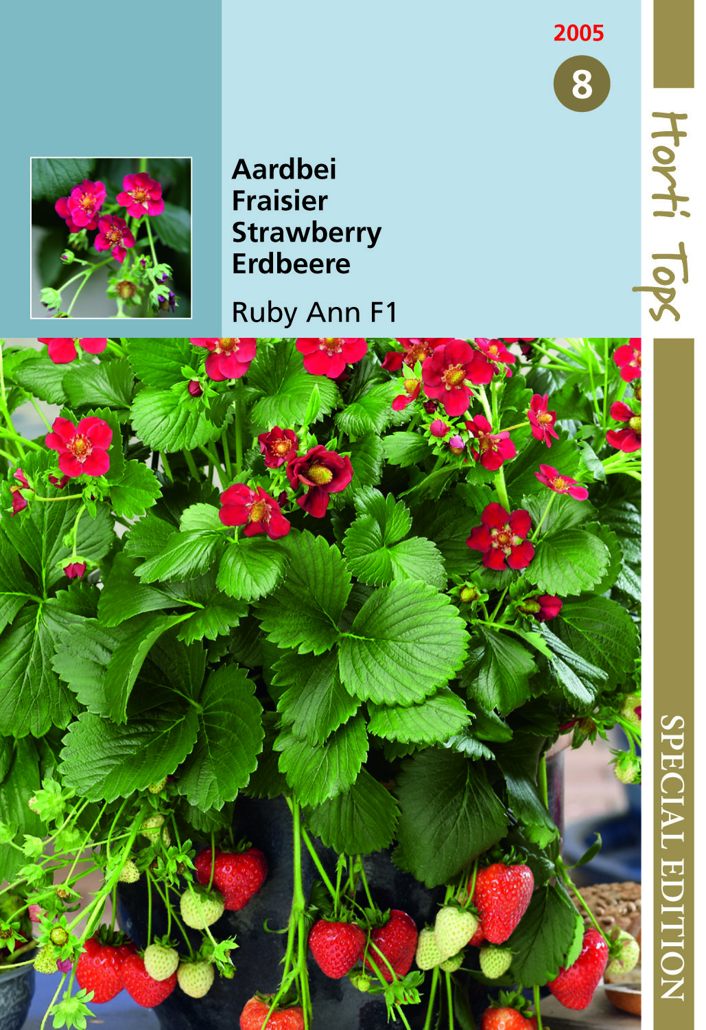 Hortitops Hangaardbeien Ruby Ann F1 Fragaria x ananassa - Groentezaden