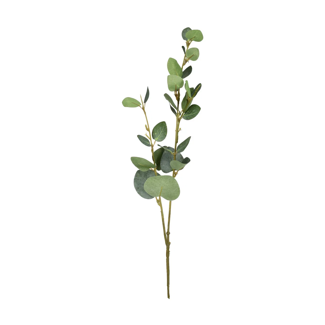Eucalyptus snitt kunstig Høyde 48 cm