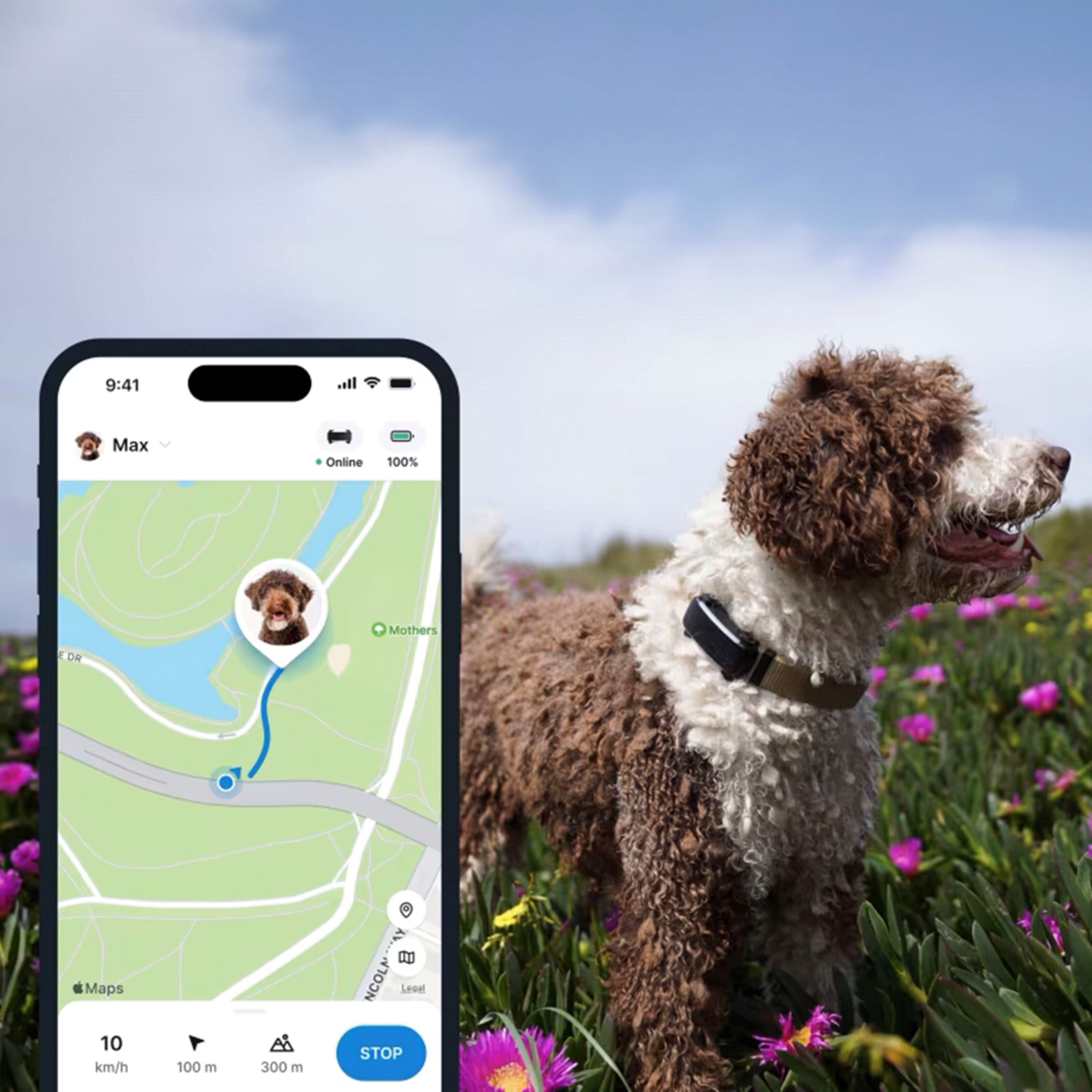 Tractive DOG 6 – GPS-hundehalsbånd og helseovervåking