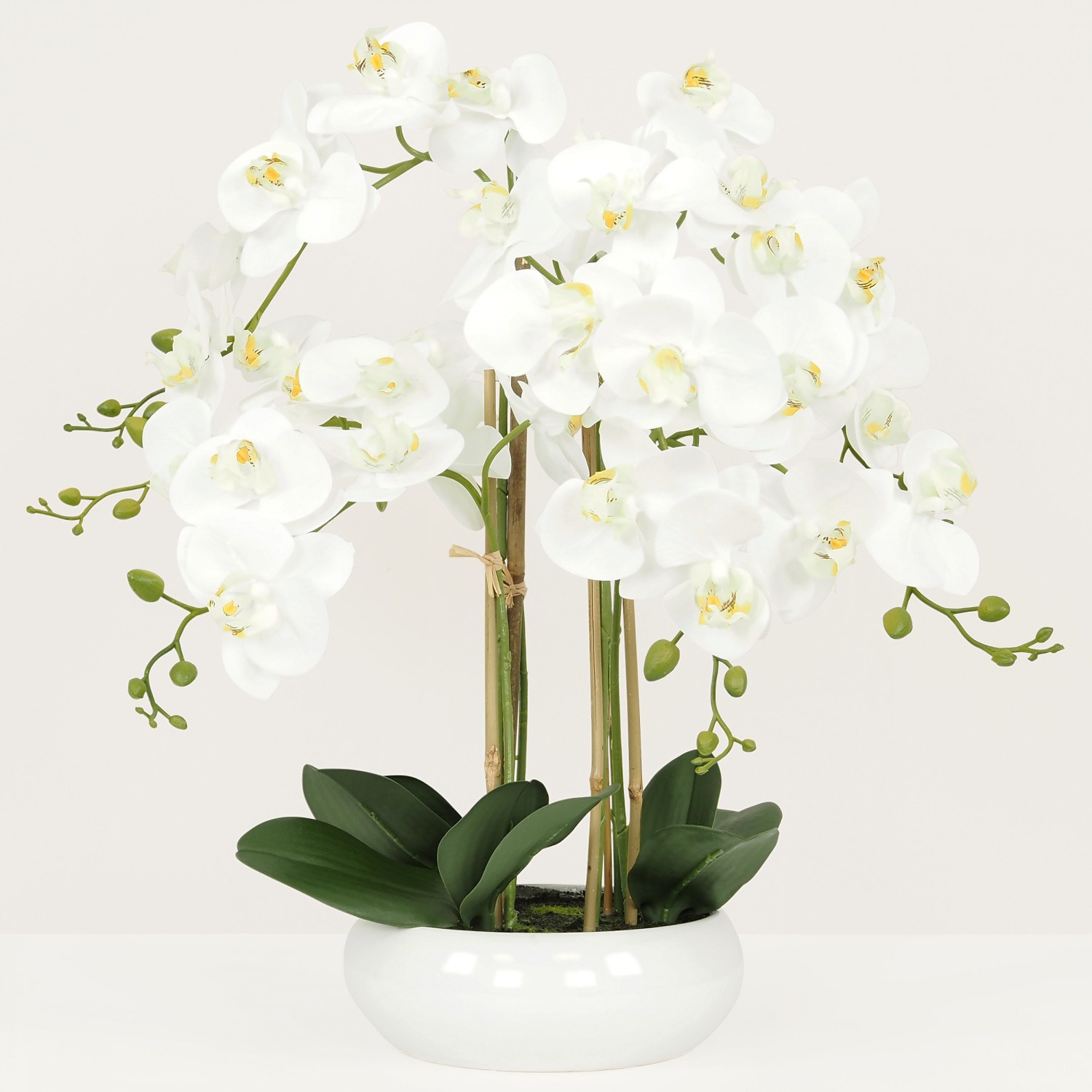 Orchidées artificielles blanche 55cm