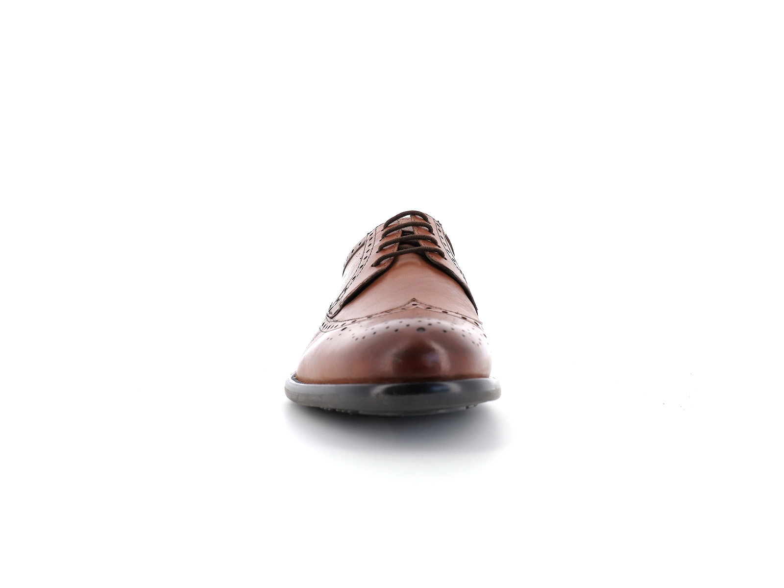 Xapi-MS-279R02 Cuir Cognac