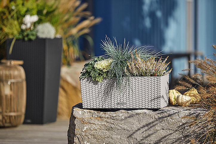 Jardinière Lechuza Cottage gris clair 50 x 19 x h.19 cm