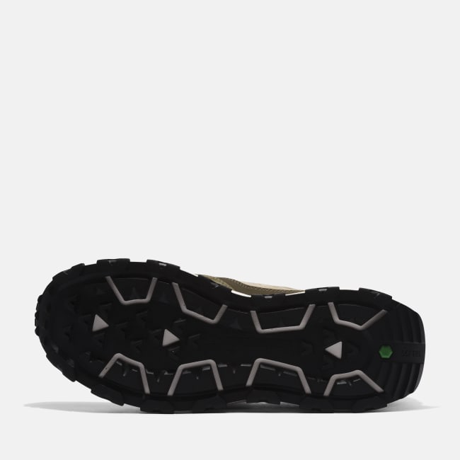 Sneaker Winsor Park da Uomo in verde (scuro)
