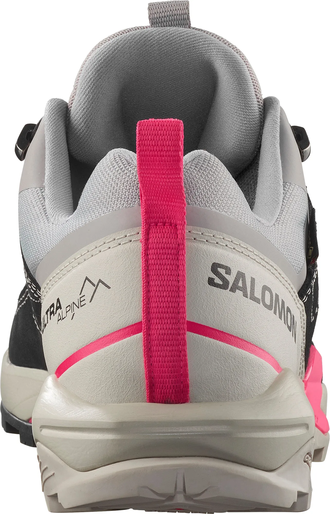 Salomon Women's X Ultra Alpine GORE-TEX Aloe/nine Iron/rouge Red
