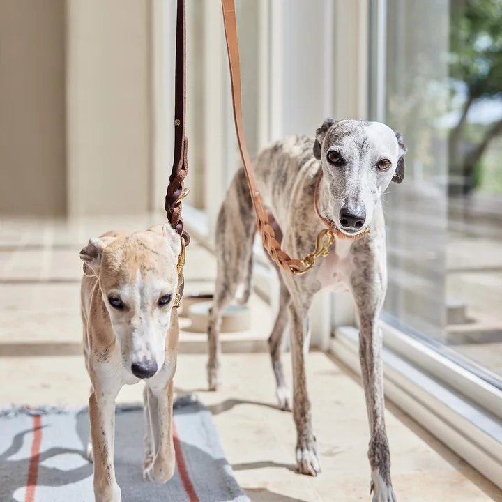 OYOY ZOO - Robin Hundehalsband, medium, choko