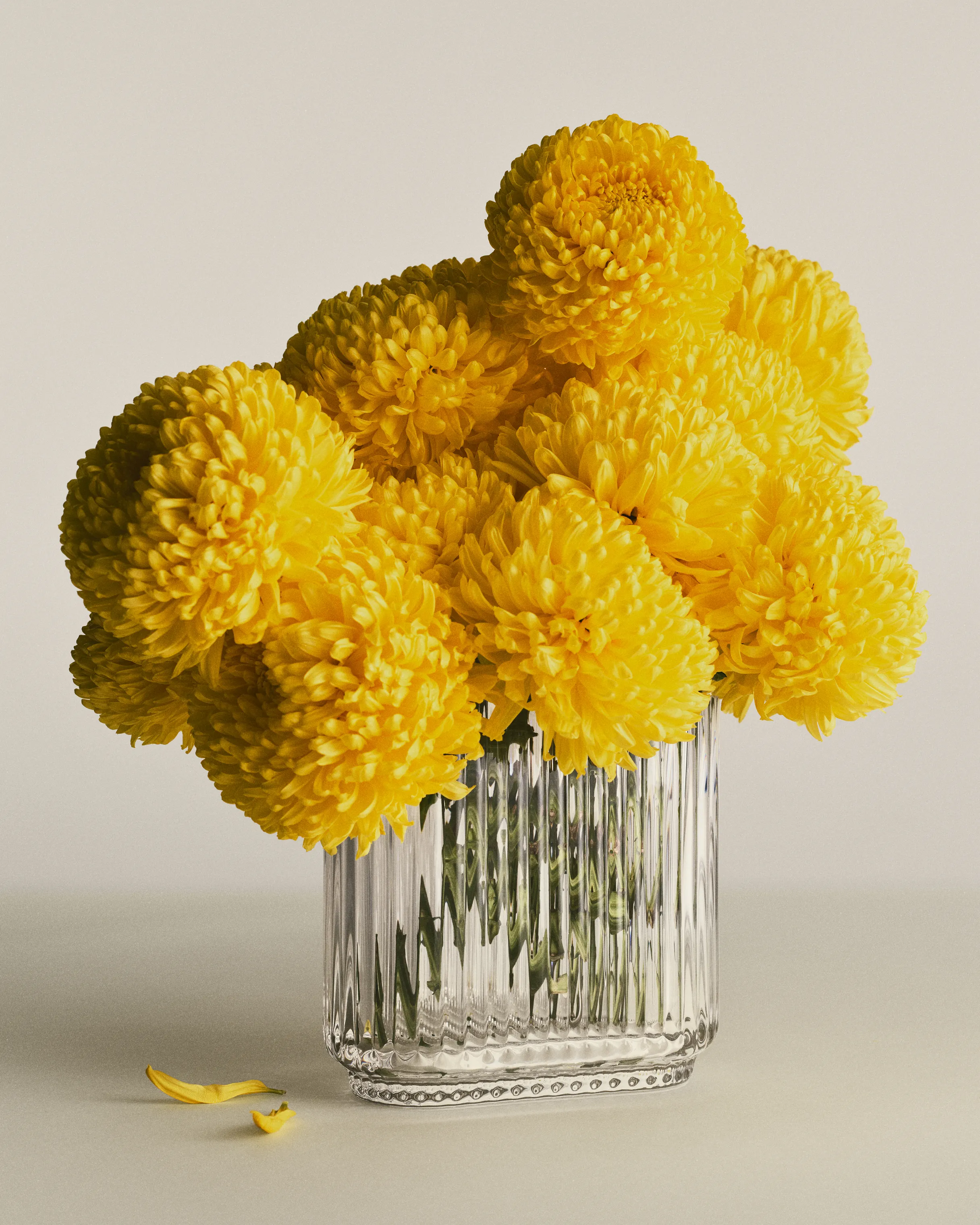 Georg Jensen Bernadotte Vase