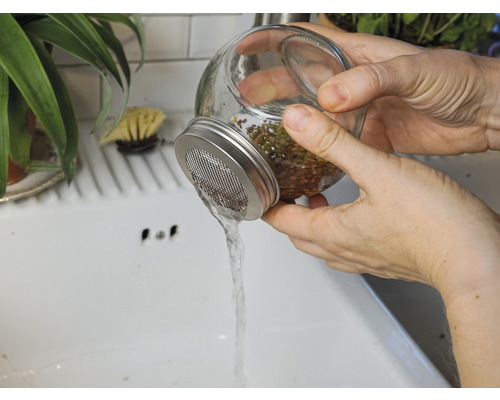 Kiempot mijn oogst incl. startersportie biologische zaden