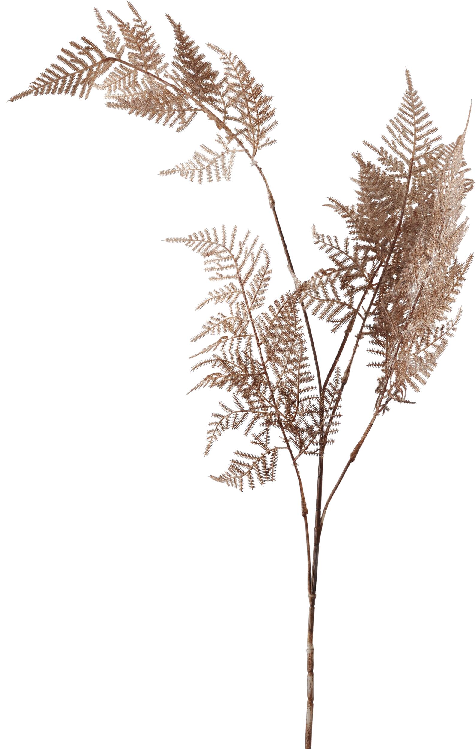 Asparagus 2024 Kunstig plante 110 x 40 cm