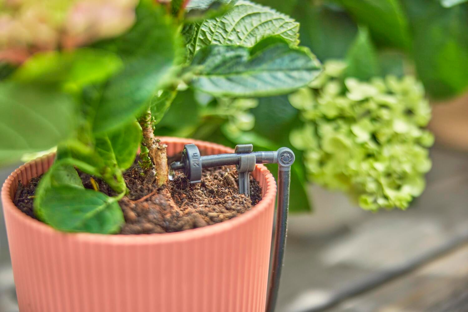 Gardena Micro Drip systeem druppelaar startset terras/balkon 15 planten