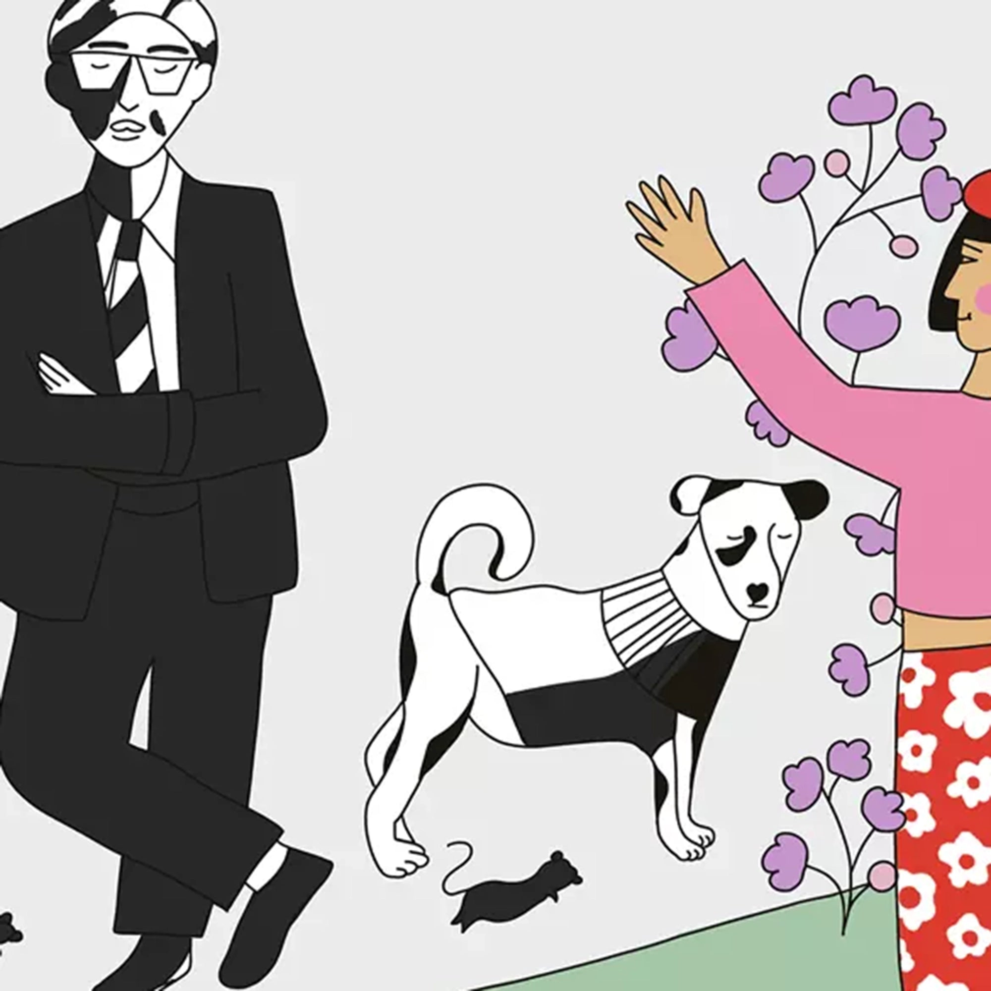 Buch Bunte Hunde