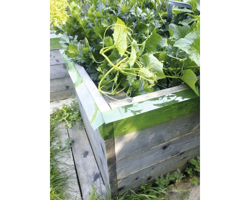 Slakkenbarrière FloraSelf 8 m x 20 cm