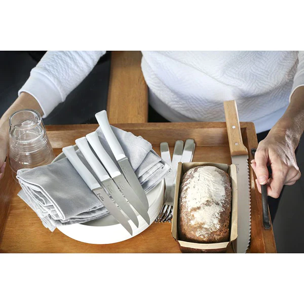 Coffret 4 couteaux de table lame micro-dentée 11 cm Bon Appétit Plus n