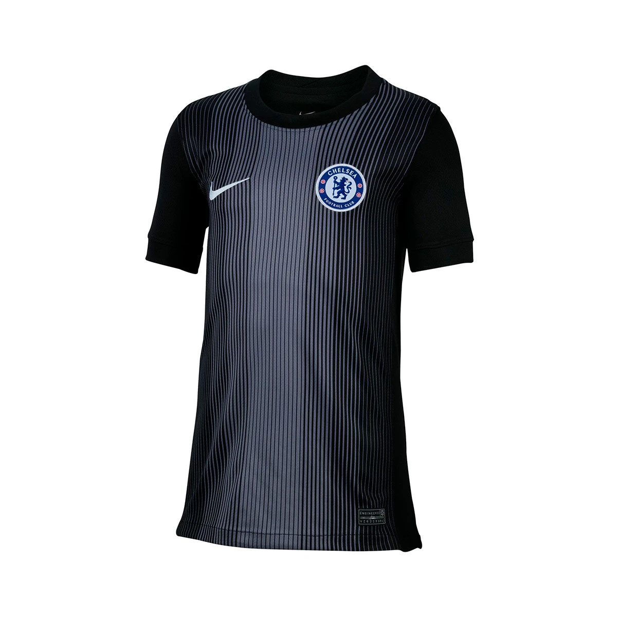 Camisola Nike Chelsea FC Primeiro Equipamento Guarda-redes 2025-2026 Criança