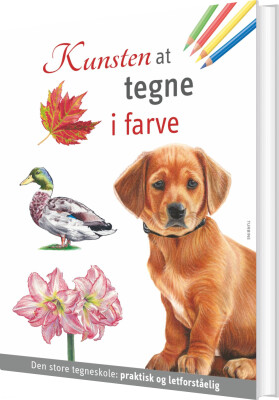 Kunsten At Tegne I Farve - Bog