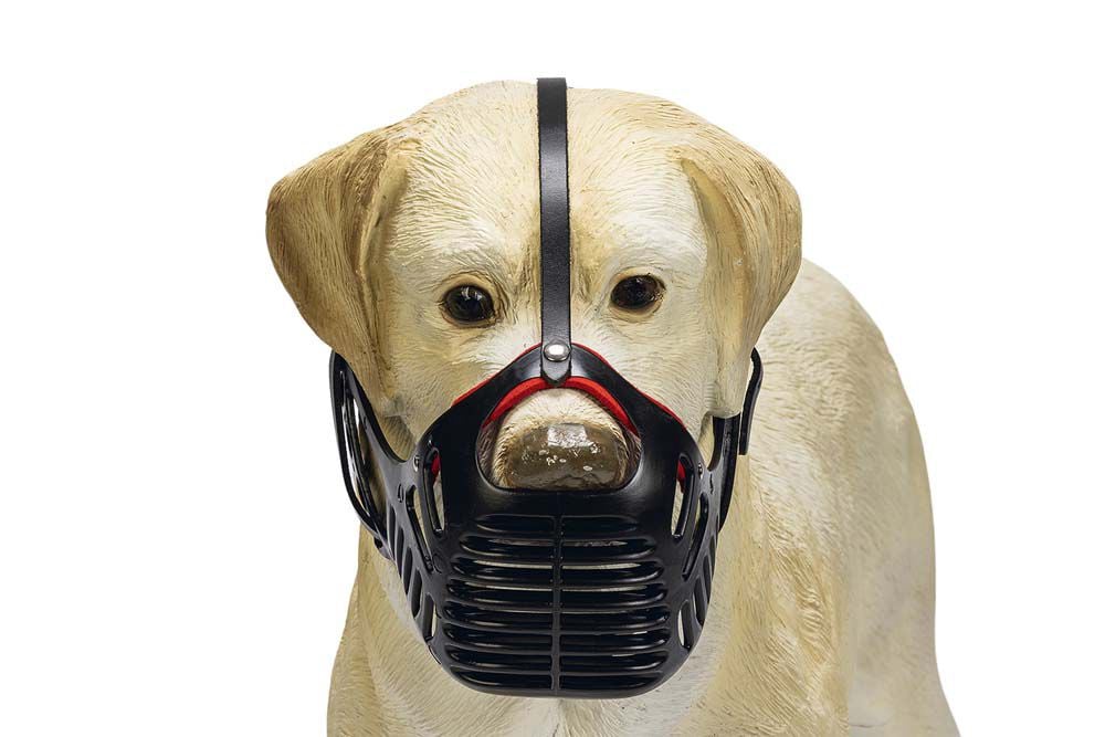 Karlie - Muilkorf - Hond met kort snuit - Zwart - L