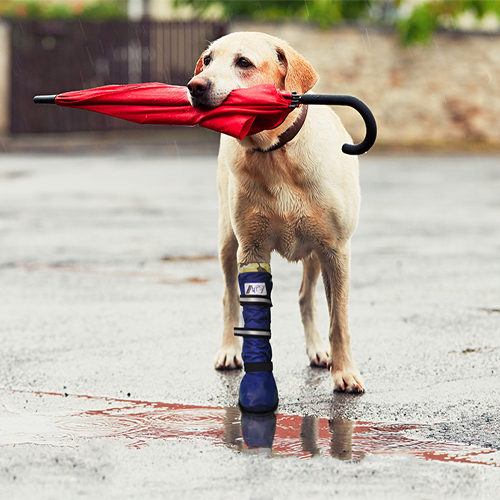 Medical Pet Shirt Boot