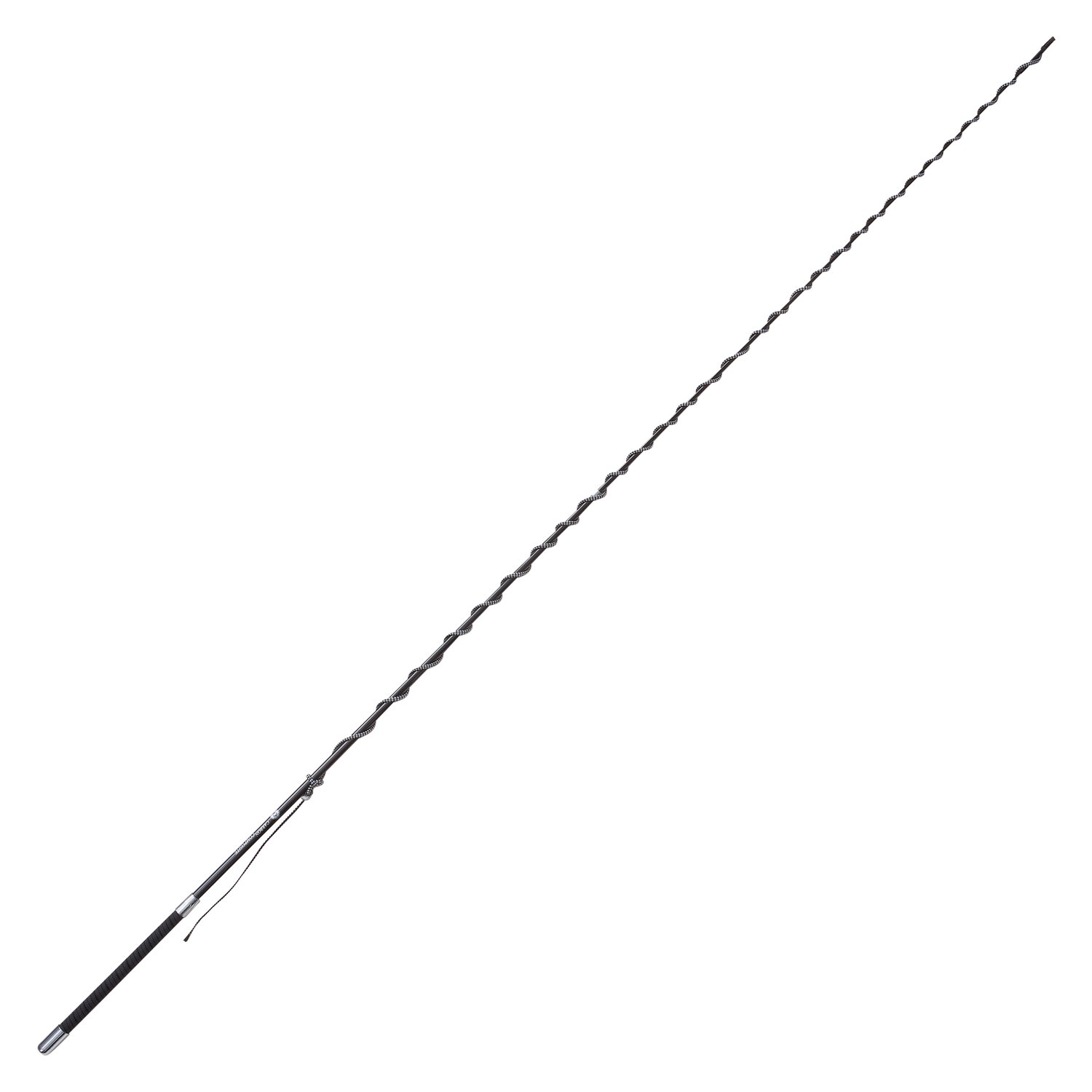 FLECK Longierpeitsche Superleicht  - schwarz - 2 m