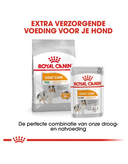 Royal Canin Coat Care Mini - Hondenvoer