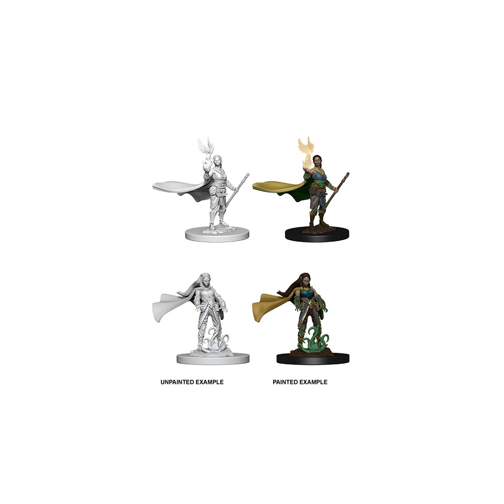 D&D Nolzur's Marvelous Unpainted Miniatures: Elf Female Druid