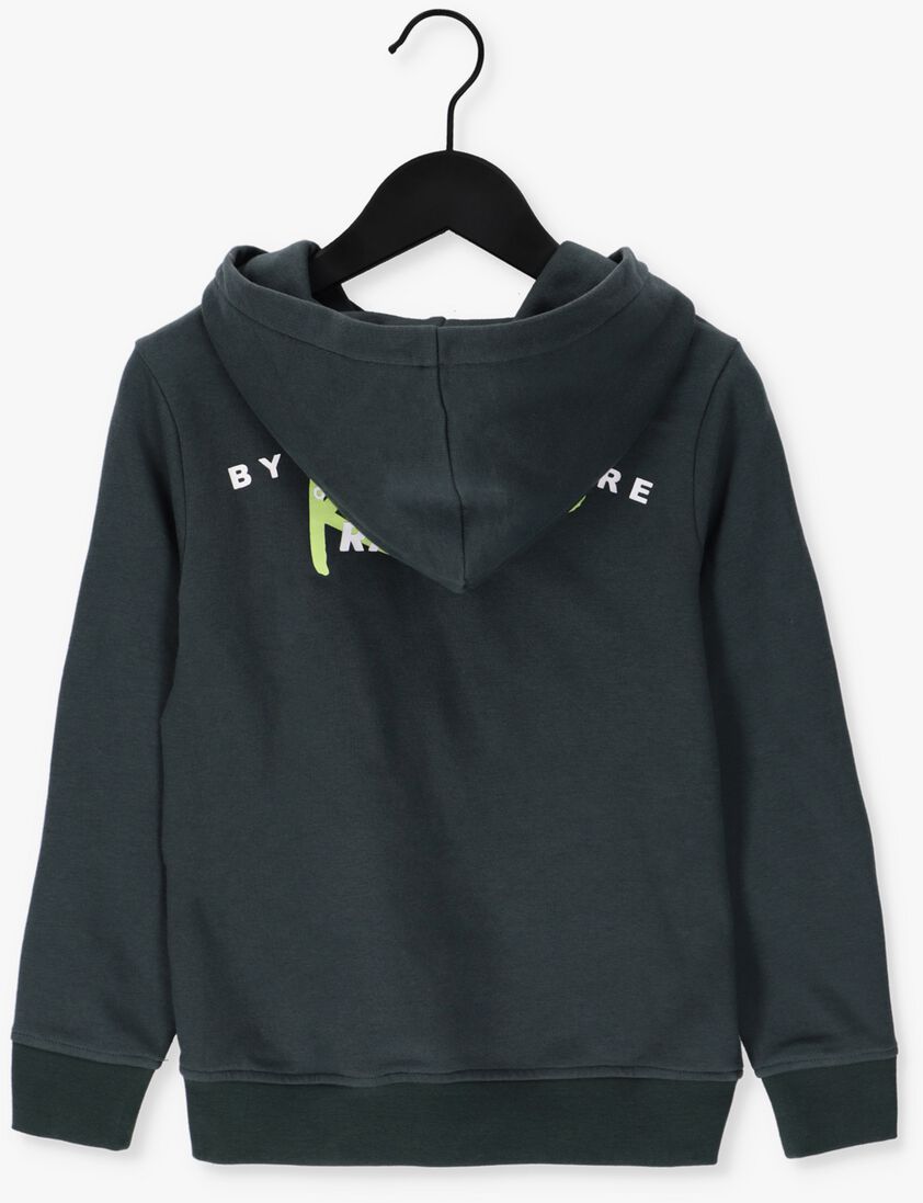 RAIZZED groene raizzed sweater walter