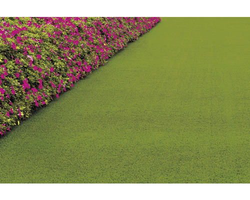Kunstgras Alizee met drainage, 40 mm dik, groen, 400 cm breed (per meter verkocht)