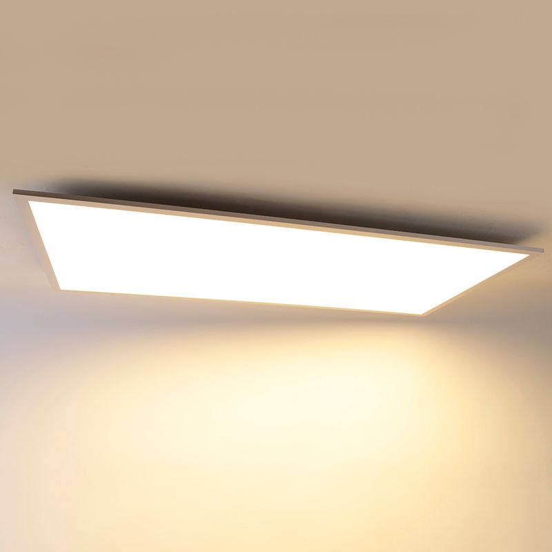 LED paneel staal 120 cm incl. LED met afstandsbediening - Liv