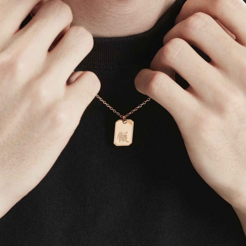 Collier Plaqué Or Quintien