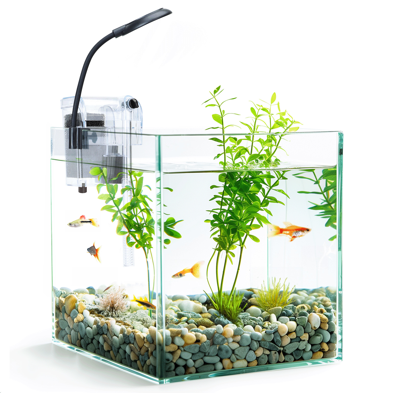 Nobleza - Aquários e tanques de peixes completos de 27 litros, aquários de vidro com sistema de filtragem integrado e iluminação LED, aquários para iniciantes.