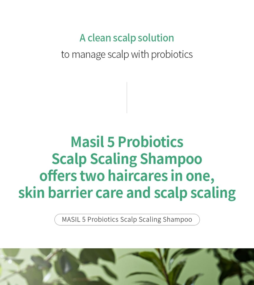 MASIL - 5 Probiotica Hoofdhuidschilfer Shampoo