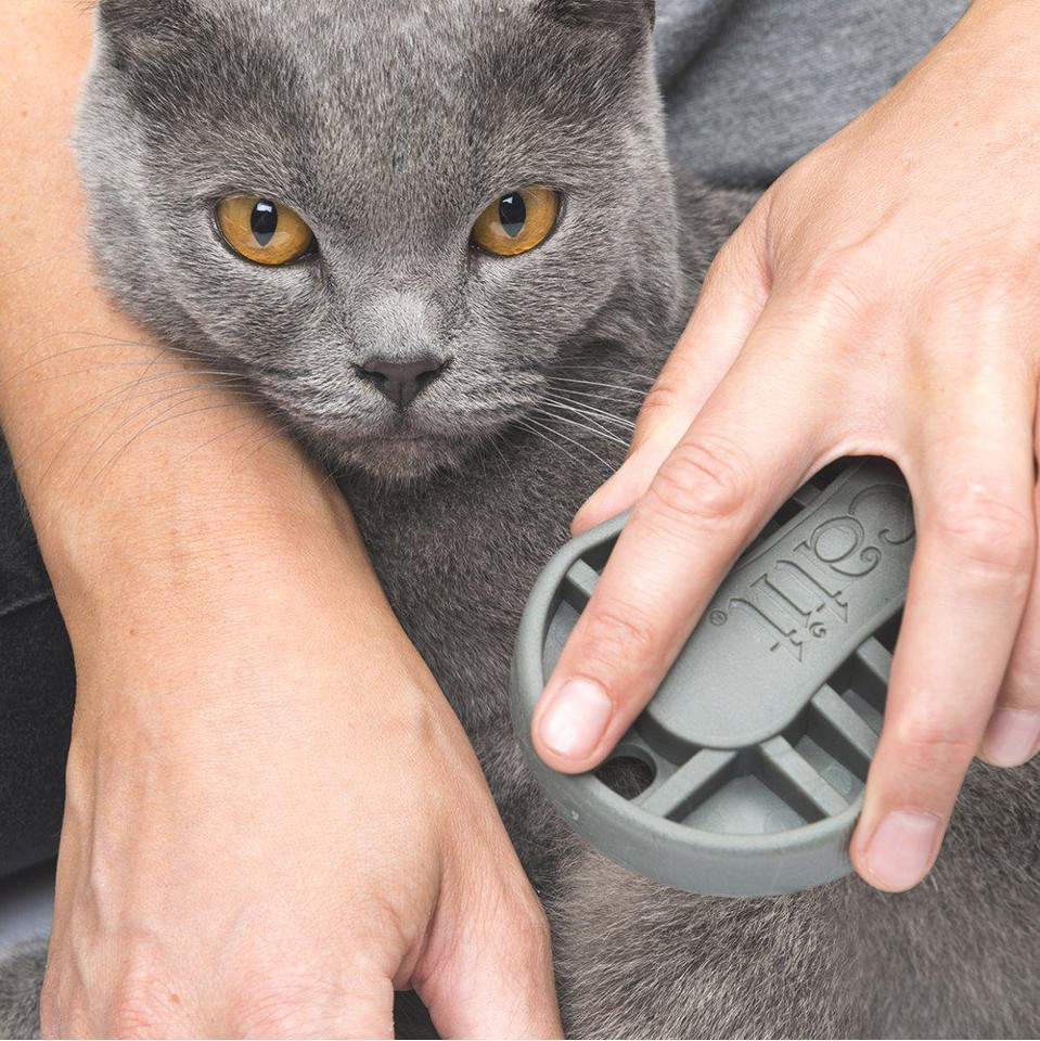 CATIT - Grooming Kit Kort pels