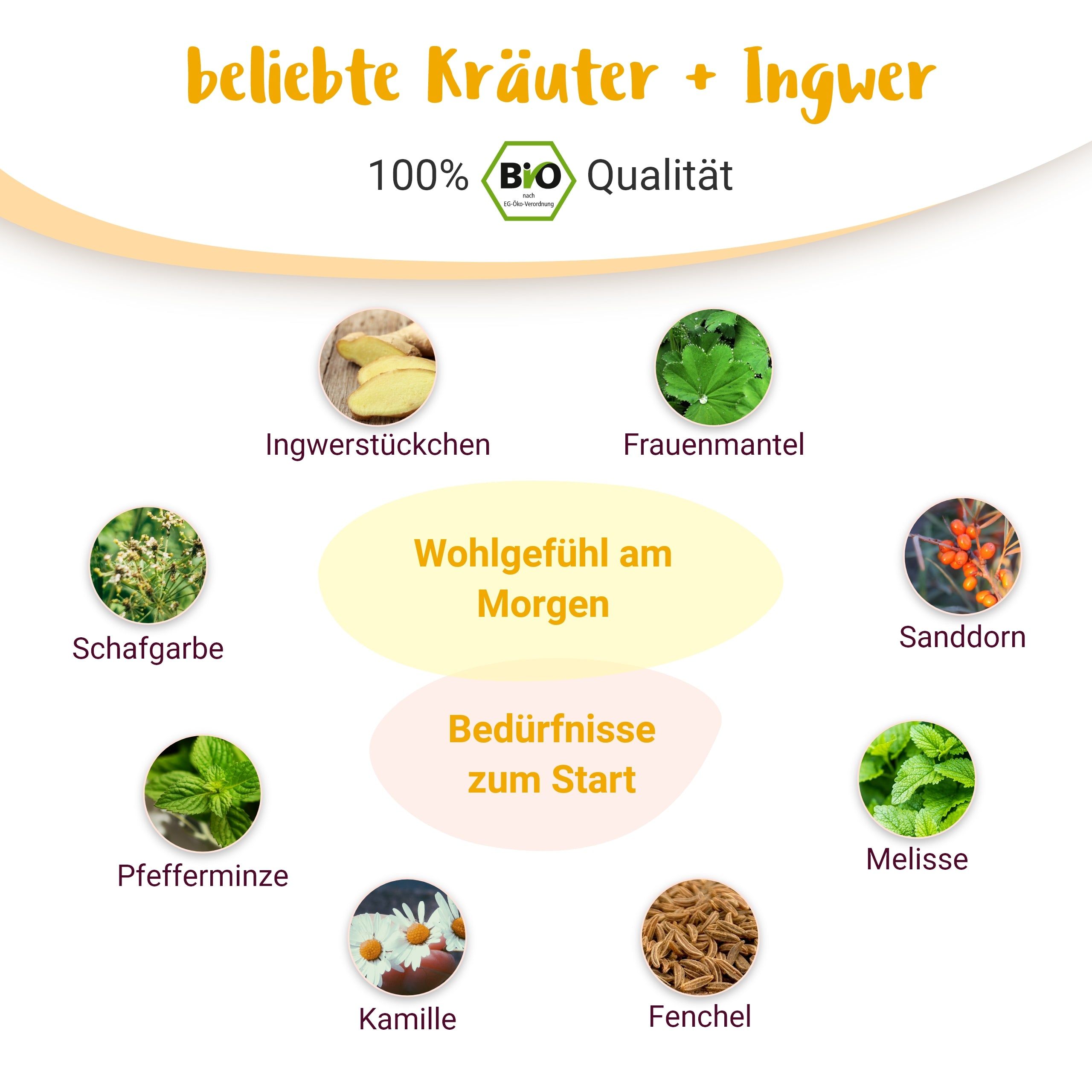 Guten Morgen Mami BIO Schwangerschaftstee für das 1. Trimester - von PregniVital®