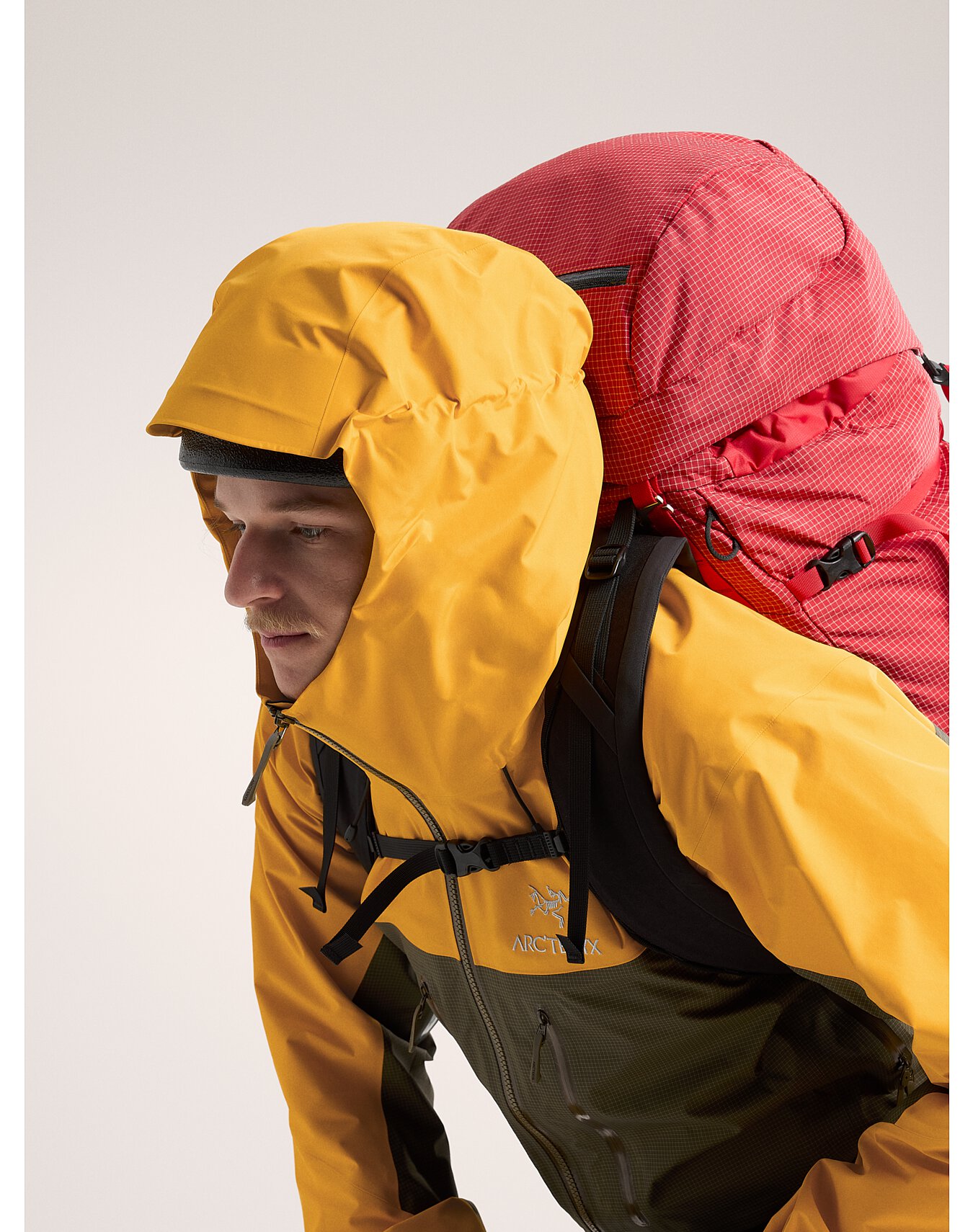 Arcteryx Alpha Jacket Tatsu/Forage/Yukon Tatsu/Edziza