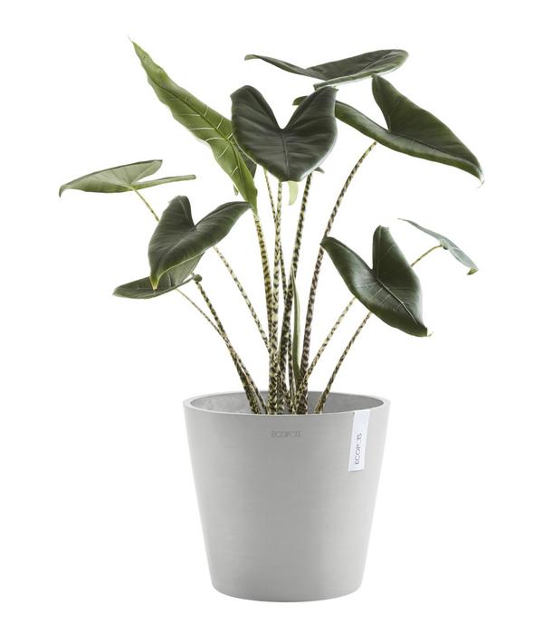 Ecopots Kunststoff-Topf Amsterdam mit