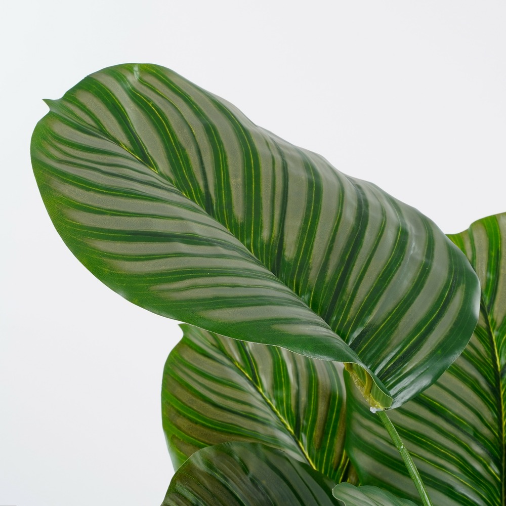 Calathea orbifolia artificielle en pot h90