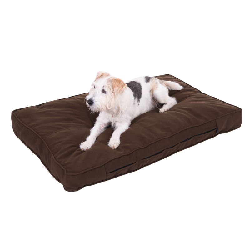 Coussin Cozy Mocca à prix discount sur bitiba.fr