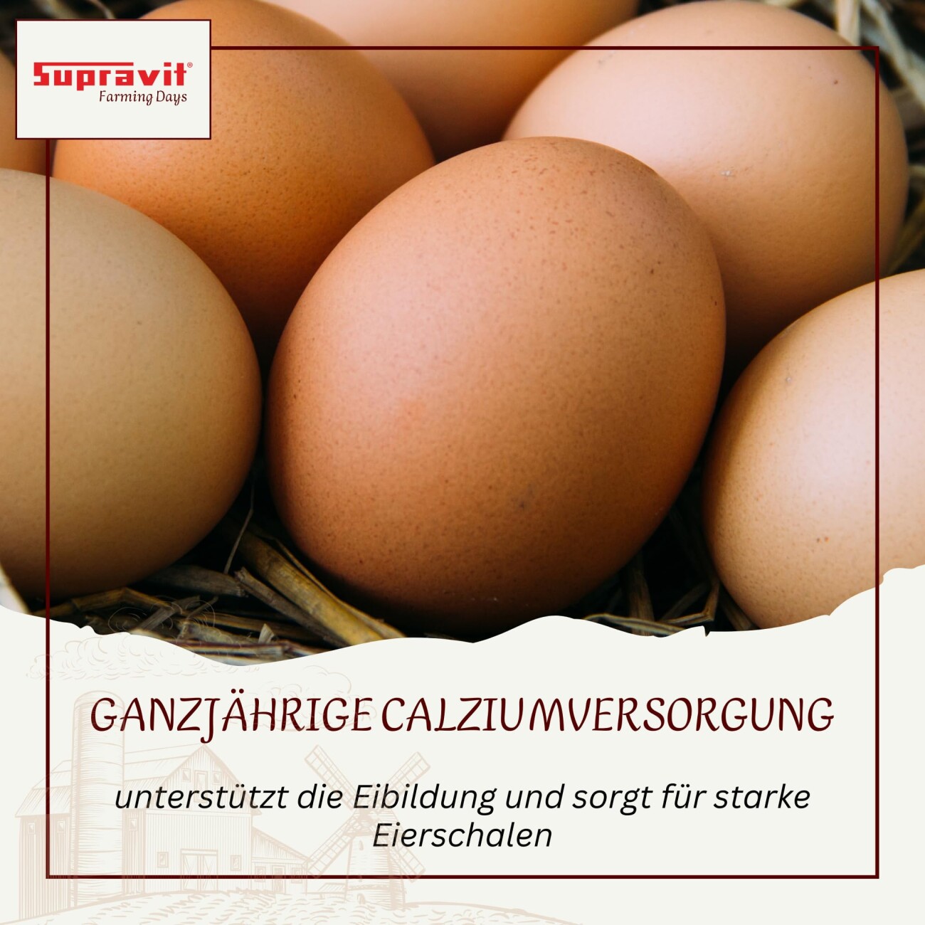 Supravit Hühnergrit Geflügelgrit 4 kg - Muschelkalk für Knochen - Futterkalk Naturprodukt für Hühner