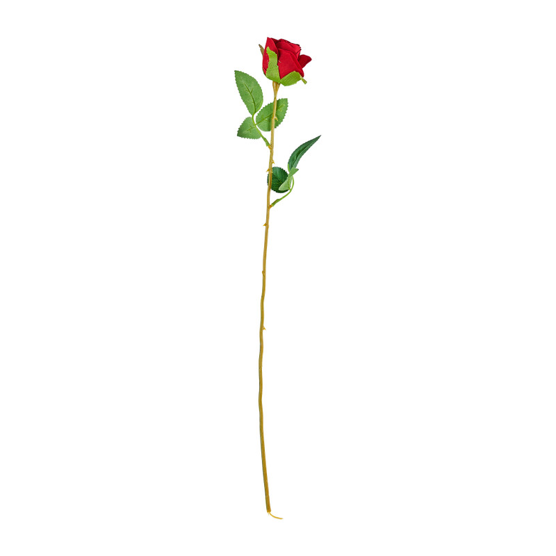 Roos rood - 56 cm.