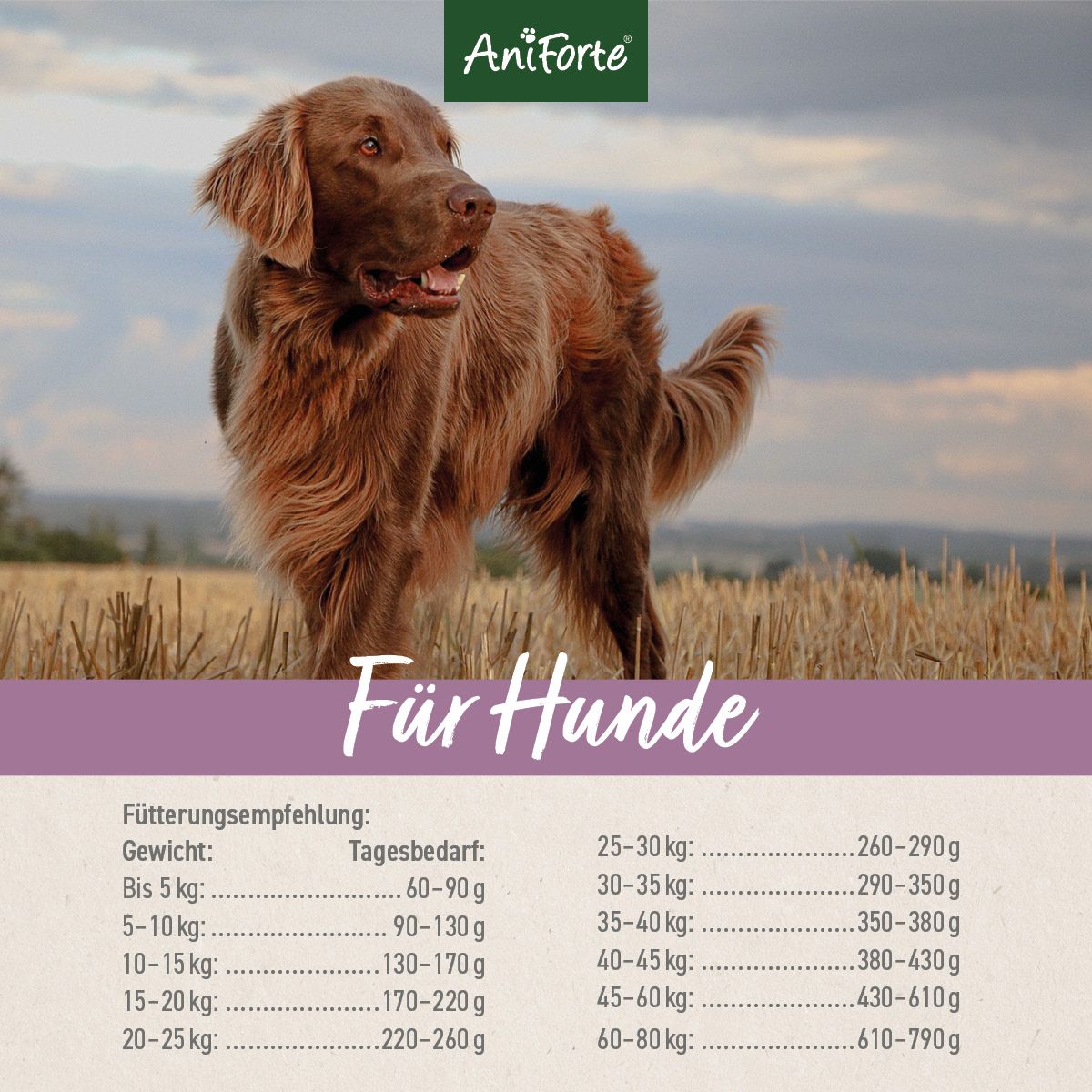 AniForte Trockenfutter FreelandDuck - Leckere Ente mit Hirse