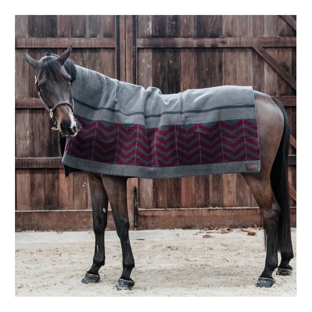 Kentucky HEAVY FLEECE 140X120 - Chemise séchante grey/bordeaux