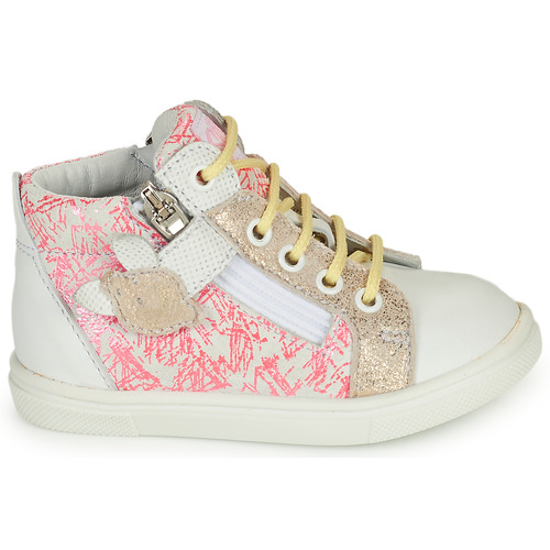 GBB - VALA - Rose