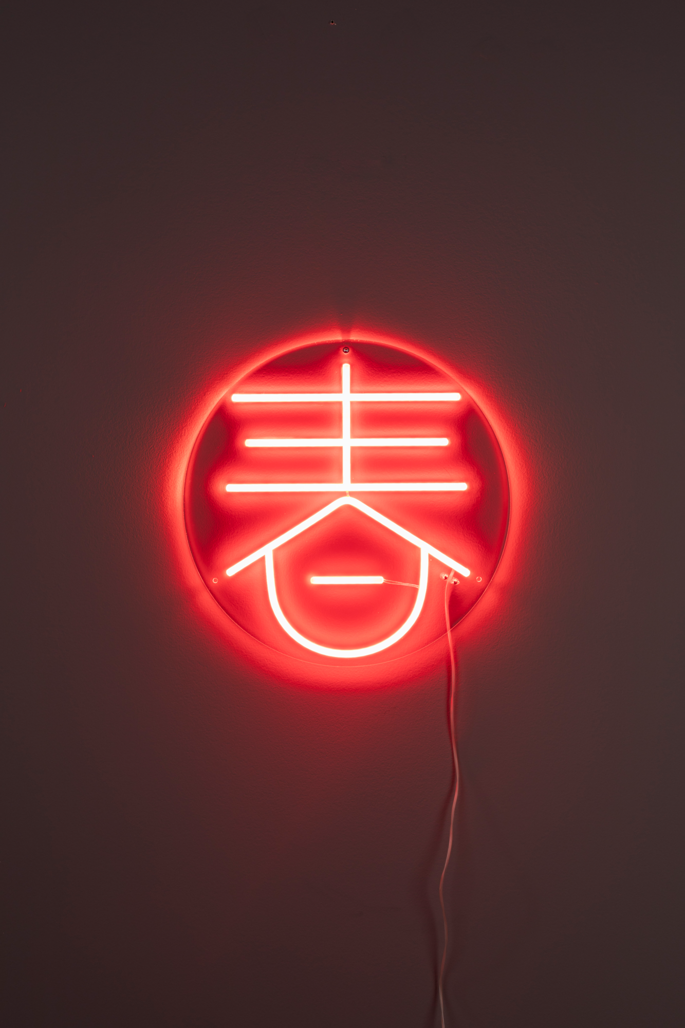 Neon Wall Light Sya Spring