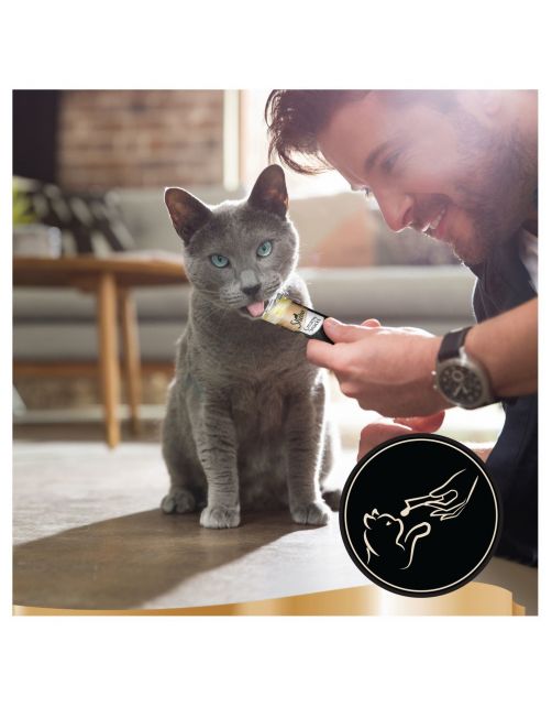 Sheba Creamy Snacks 4x12 g - Kattensnack