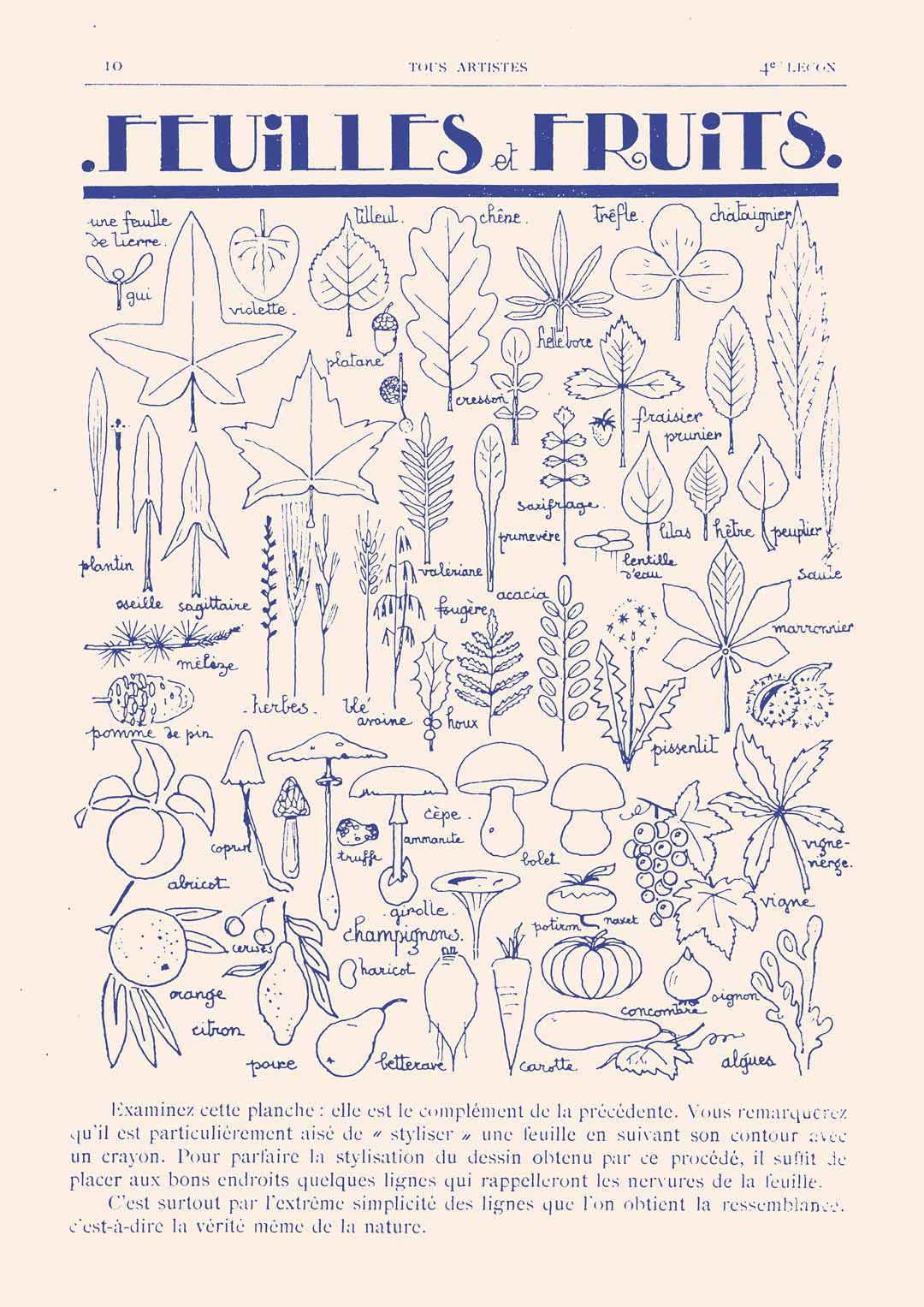 Fleurs et Fruits von Astër