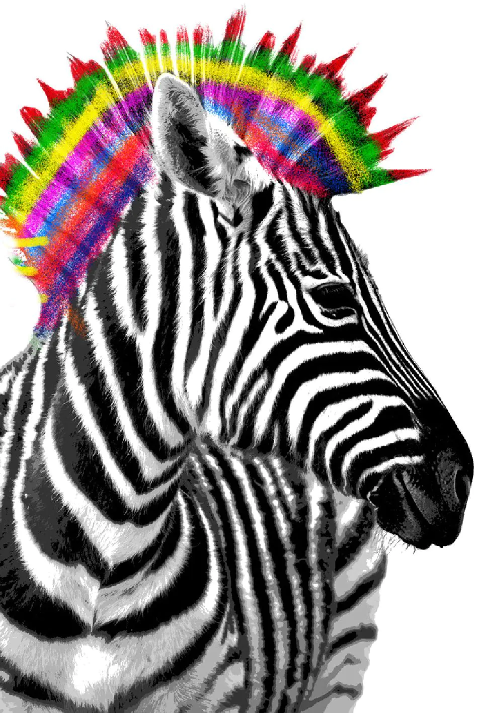 Poster Zebra Punk, 61 x 91 cm
