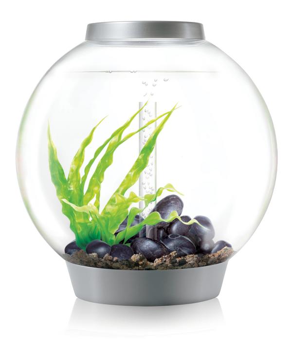 biOrb® Aquarium CLASSIC 60 LED