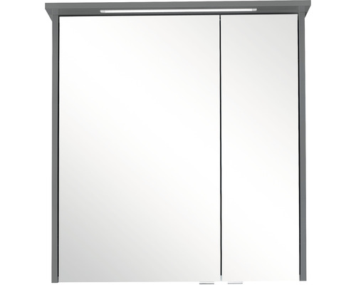 Pelipal xpressline 3261 spiegelkast, 66 x 16 x 72 cm, grijs, 2-deurs, LED