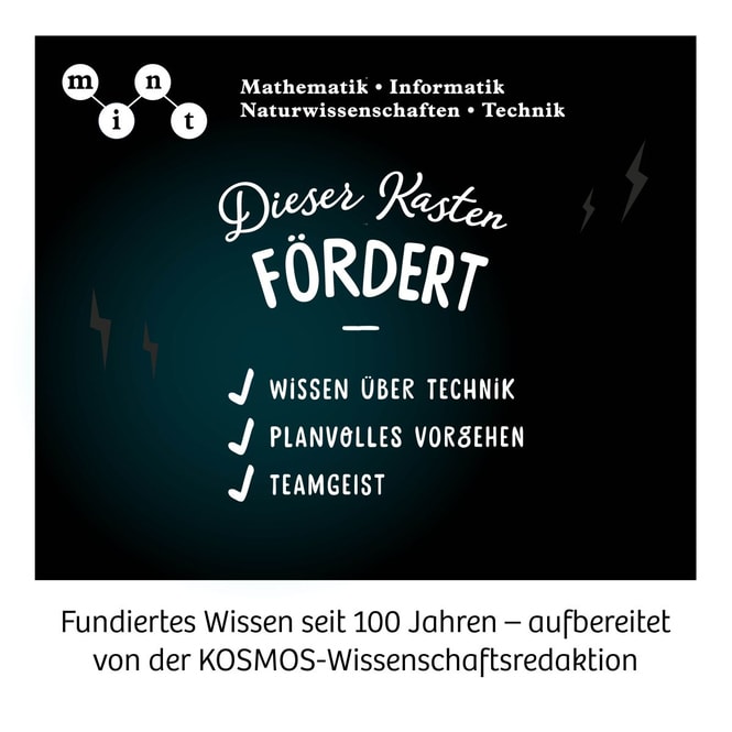 Boxing Bots - Deine hydraulischen Boxer