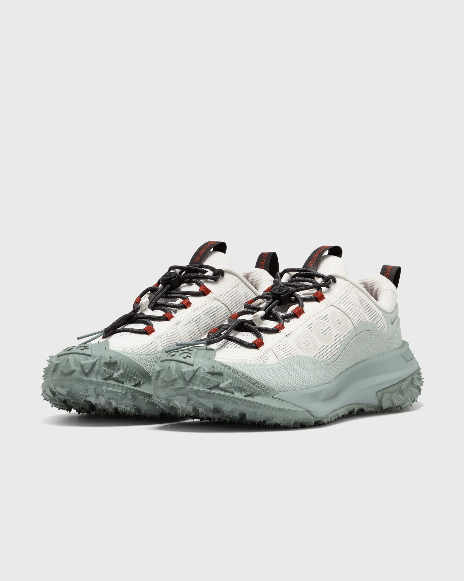 Nike ACG MOUNTAIN FLY 2 LOW GTX